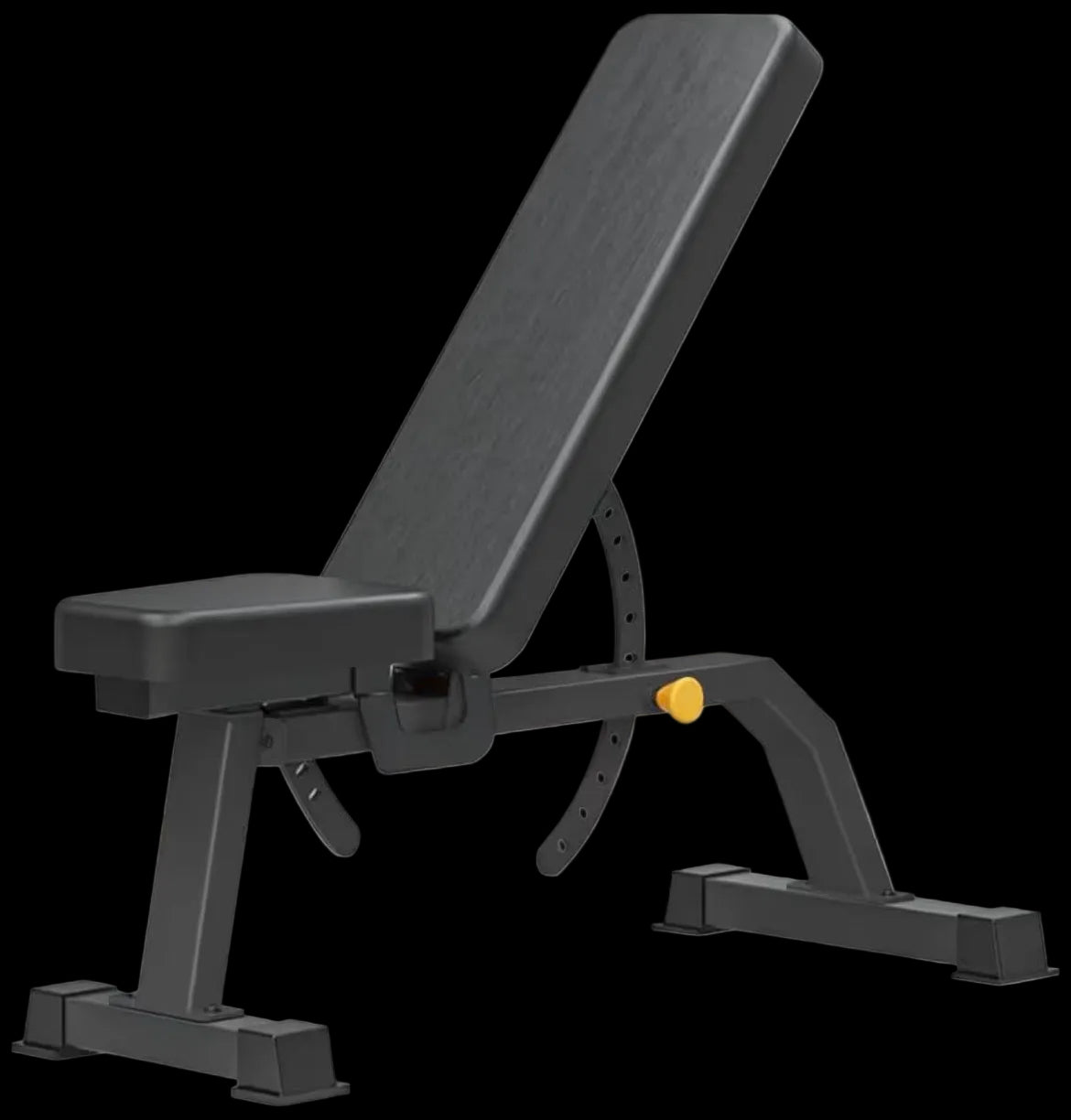 Adjustable Bench 2